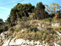 Bauland in erster Reihe zum Meer und zur Promenade 13